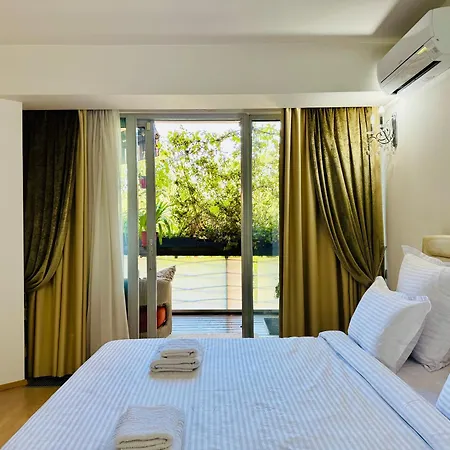 Joy Memorandului 5 *