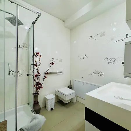 Joy Memorandului 5 Timişoara