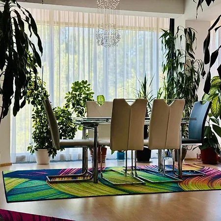 Joy Memorandului 5 Timişoara