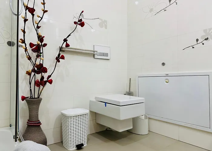 Joy Memorandului 5 * Timisoara