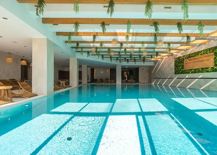 Joy Memorandului 5 * Timisoara