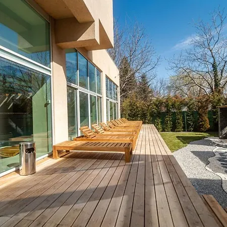 Joy Memorandului 5 * Timisoara