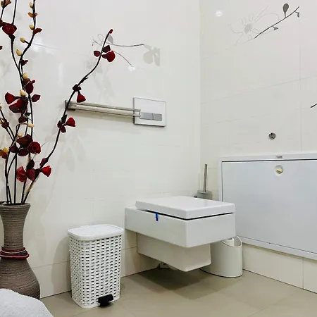 Joy Memorandului 5 * Timisoara