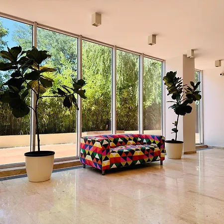 Joy Memorandului 5 * Timisoara