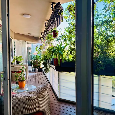 Joy Memorandului 5 Apartment Timisoara