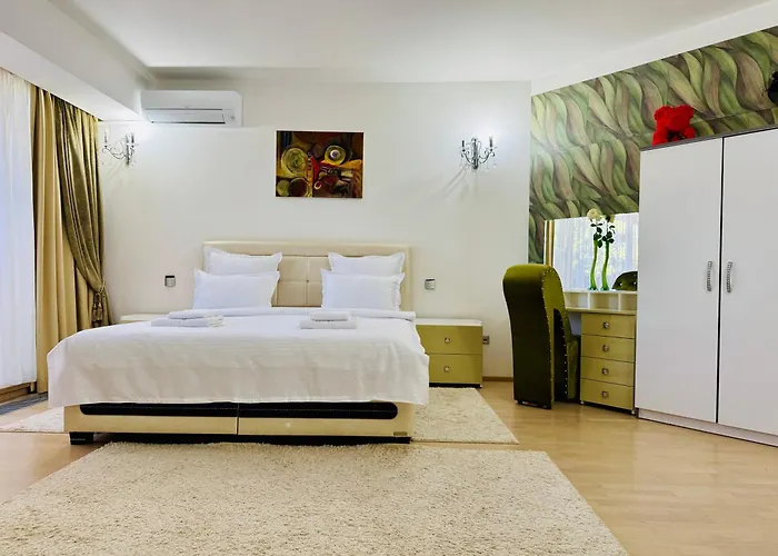 Joy Memorandului 5 *