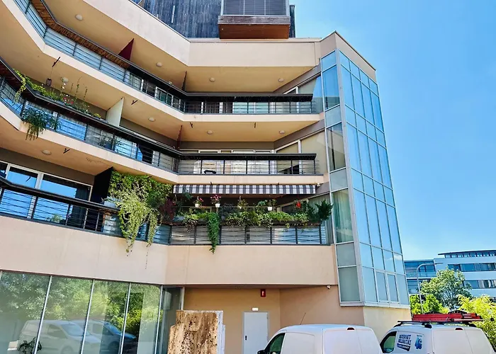 Joy Memorandului 5 Timişoara