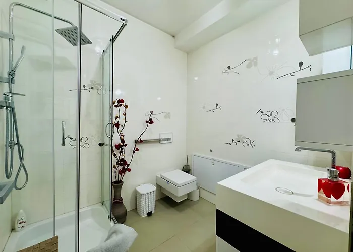 Joy Memorandului 5 Timişoara