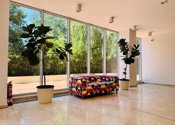 Joy Memorandului 5 * Timişoara