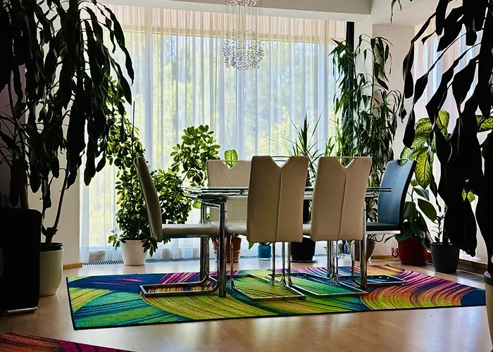 Joy Memorandului 5 Timişoara